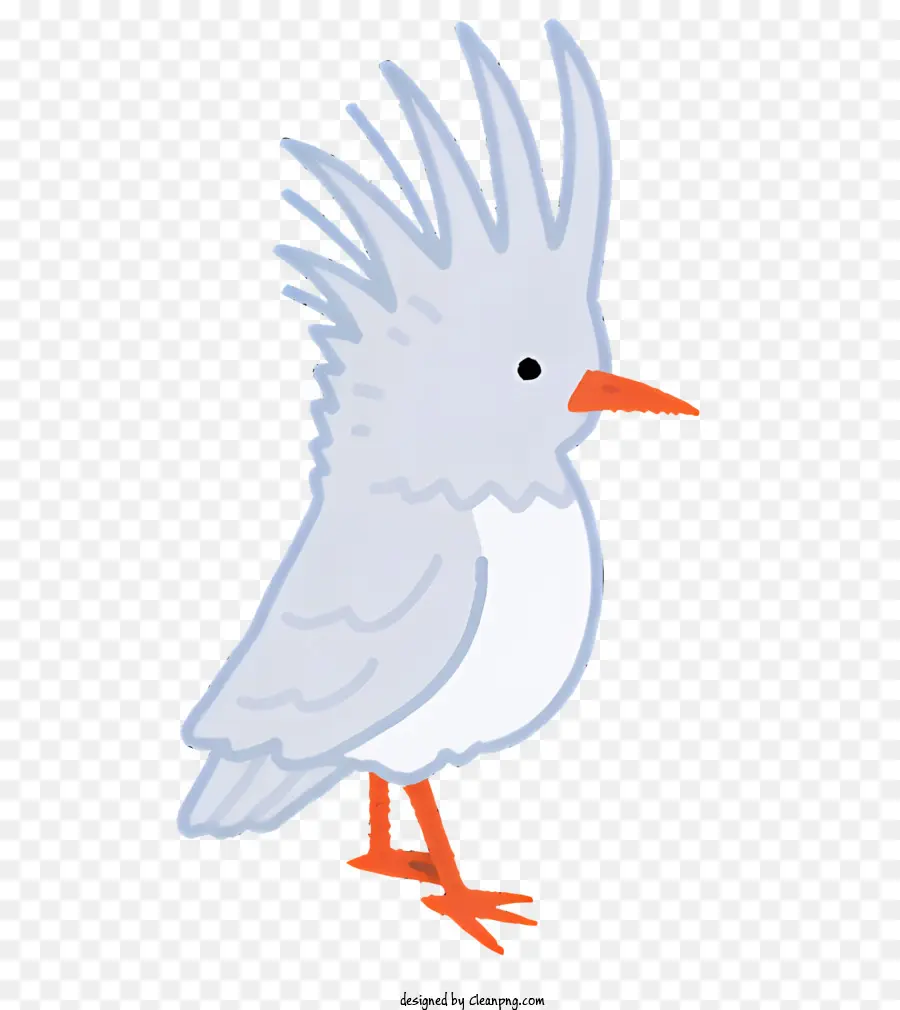 Kuş，Beyaz Tüyler PNG