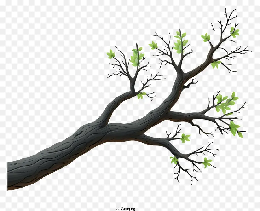 Eskiz Tarzı Ağaç şubesi，Ağaç PNG