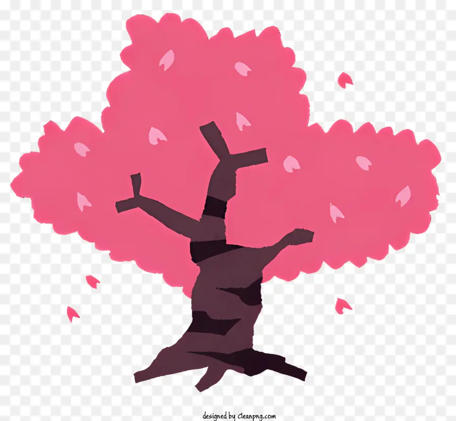 Sakura Ağacı，Pembe Ağaç Illüstrasyonu PNG