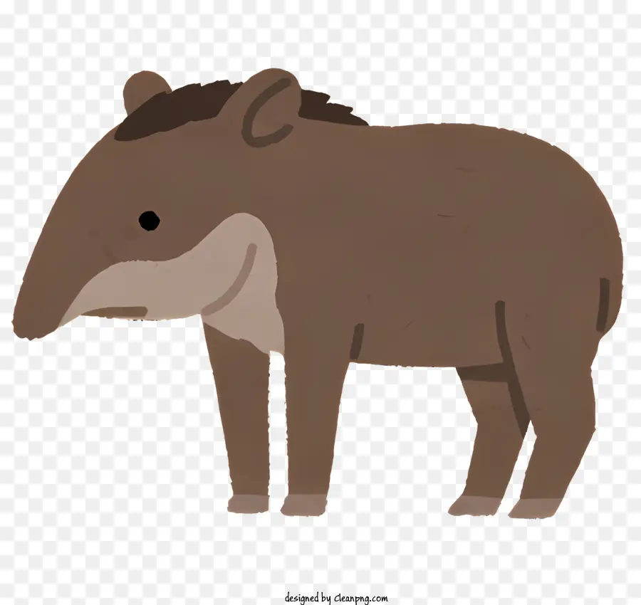 Hayvan，Tapir PNG