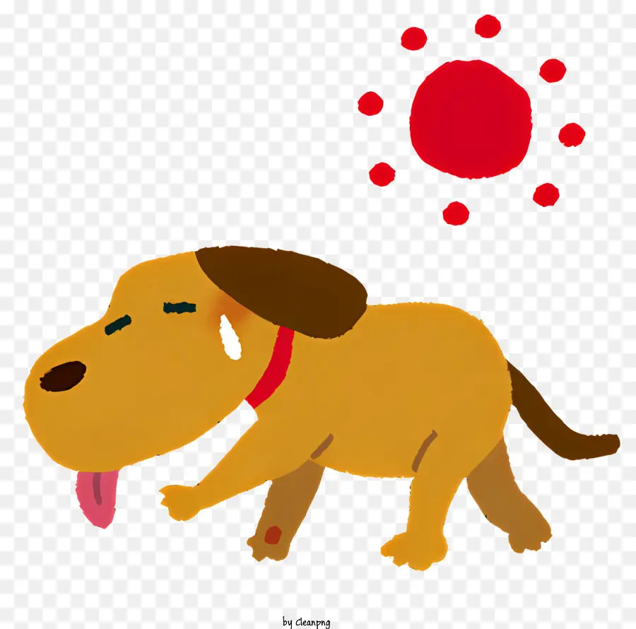 Simge，Köpek PNG