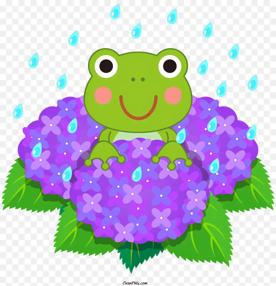 Yağmur Çiçekler，Sevimli Kurbağa PNG