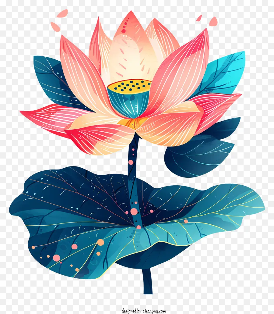 Lotus çiçeği，Kırmızı Lotus Çiçeği PNG