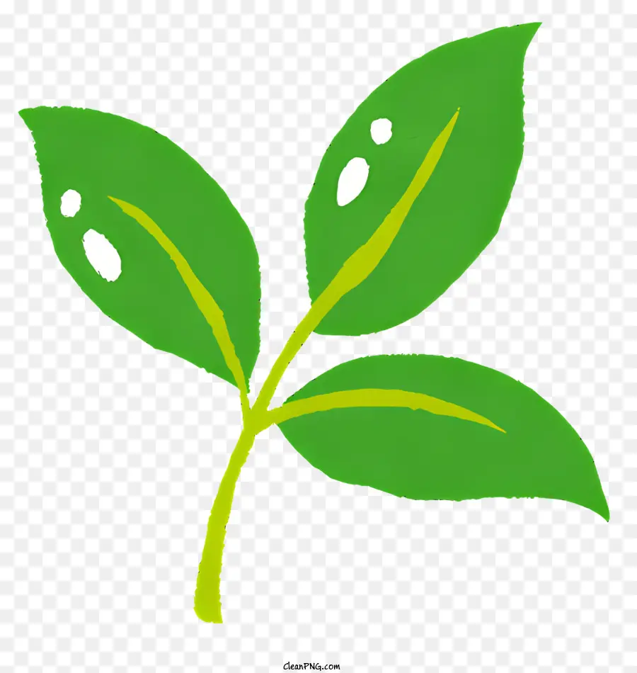 Yeşil Yaprak，Bitki PNG