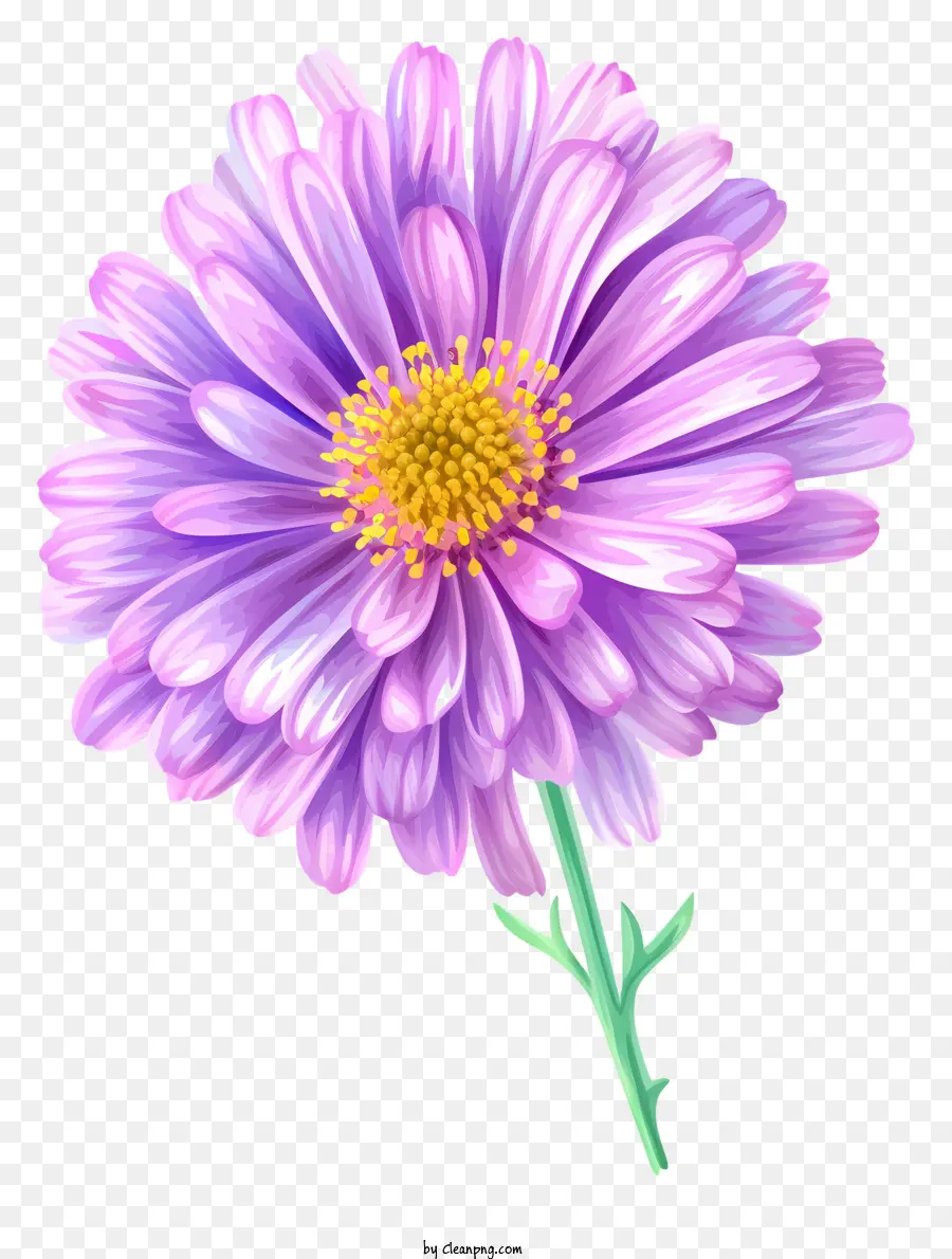 Zarif Aster çiçek Simgesi，Mor çiçek PNG