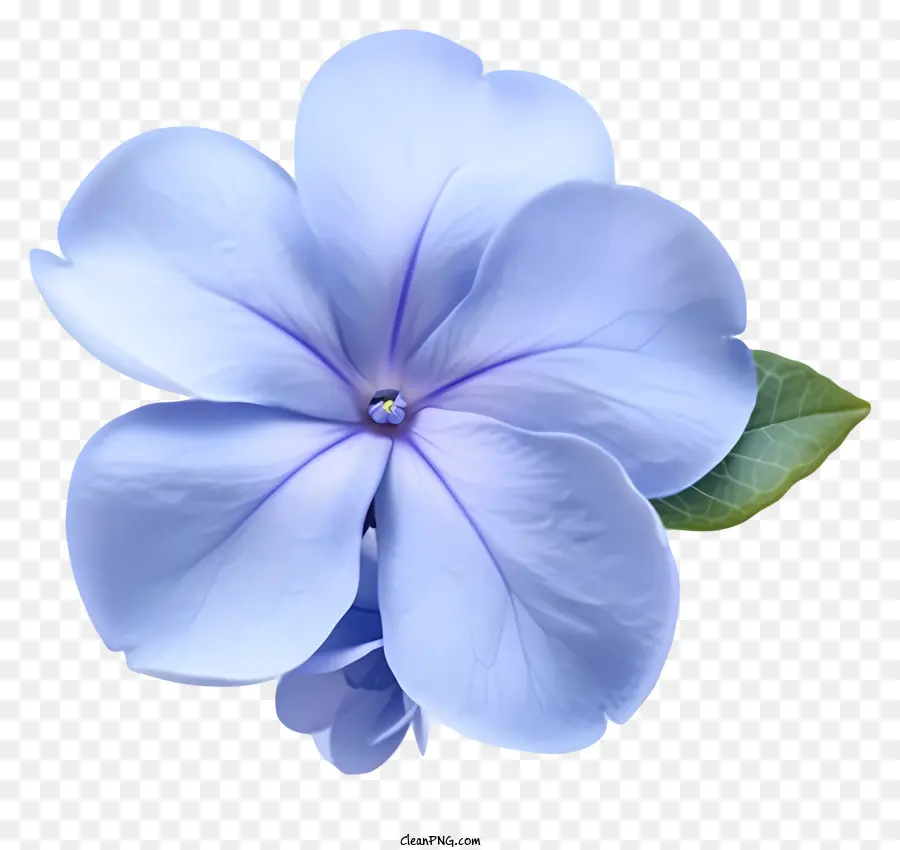 Zarif Periwinkle çiçek Simgesi，Açık Mavi Çiçek PNG