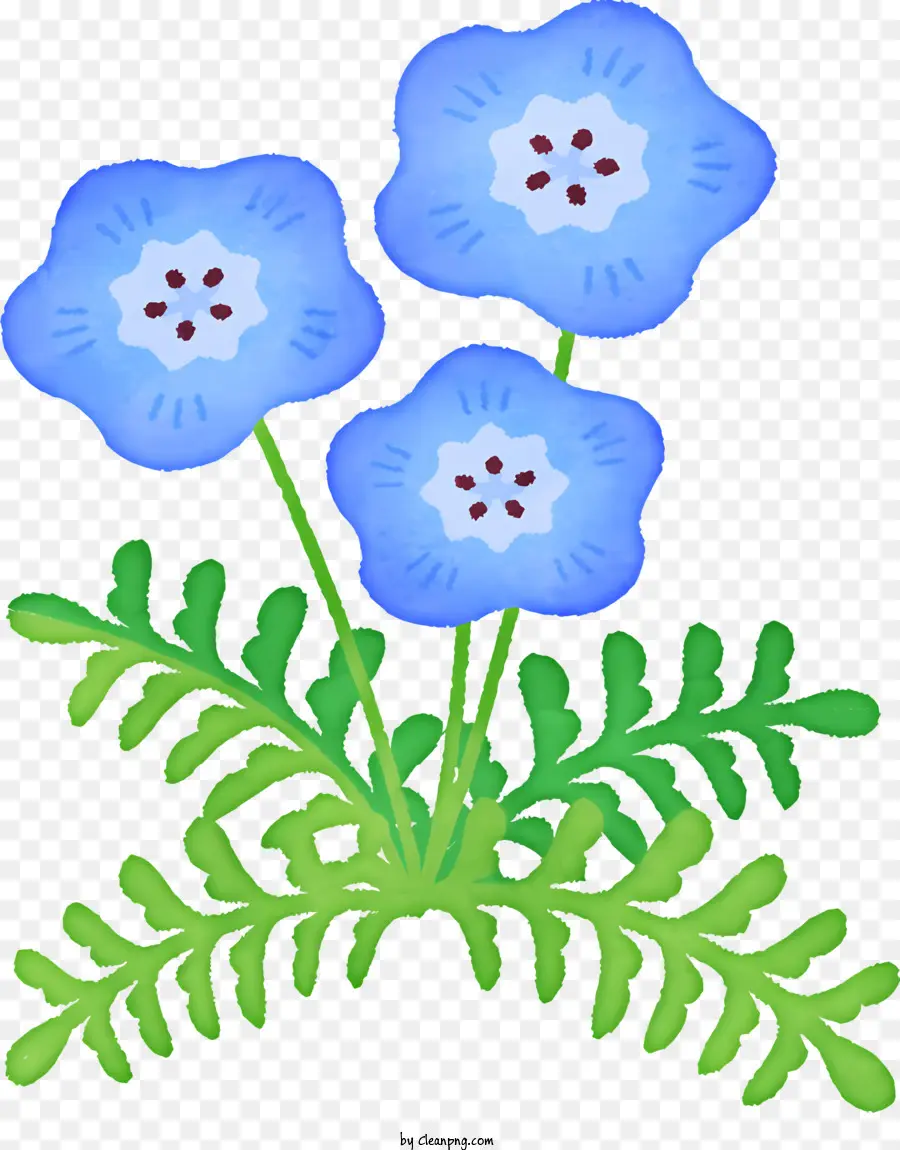 Zarif Delik Wellwinkle Çiçeği，Mavi çiçekler PNG
