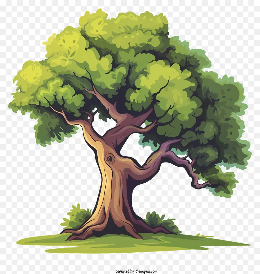 Ağaç，Karikatür Ağaç PNG