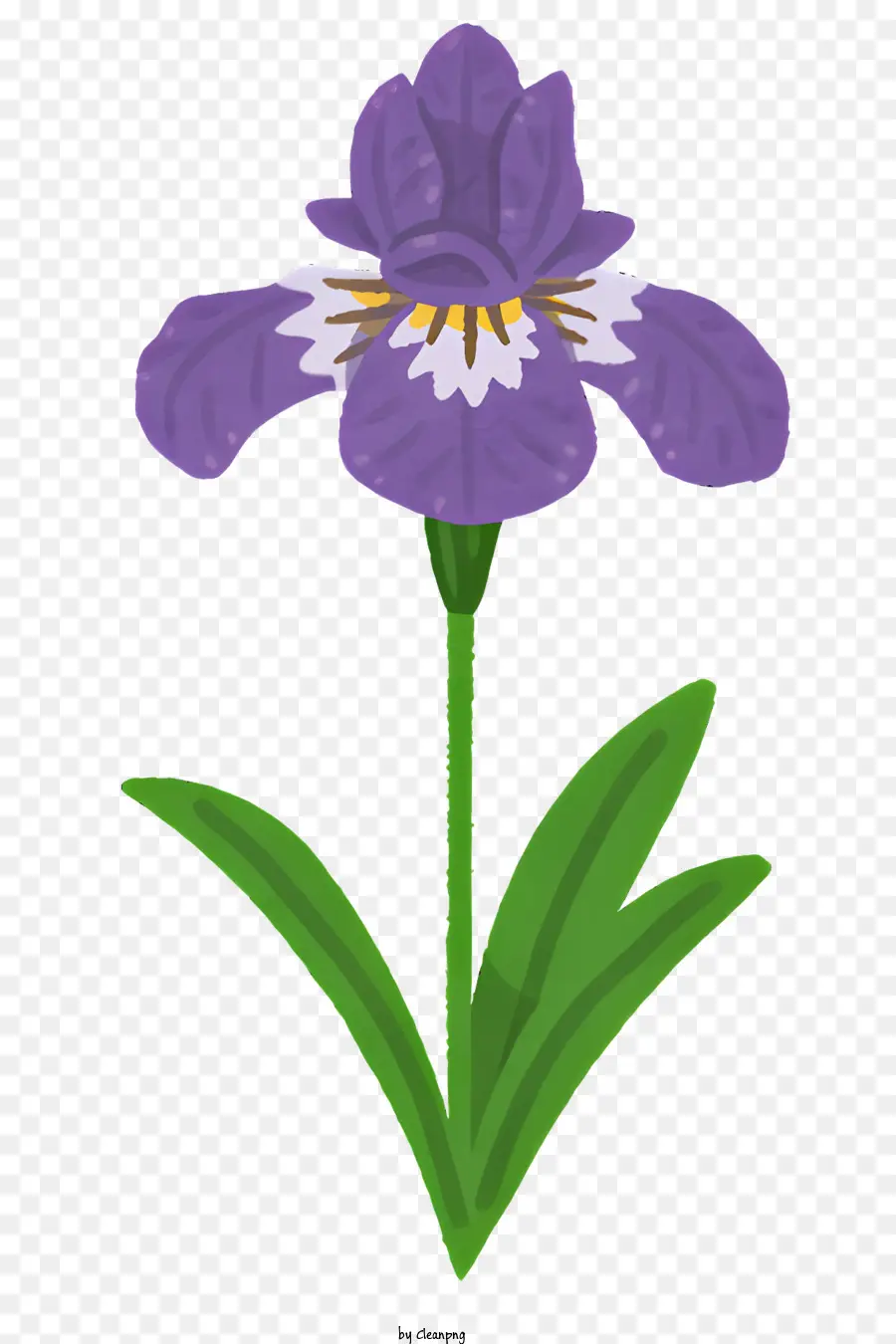 çiçek，Mor Iris çiçeği PNG