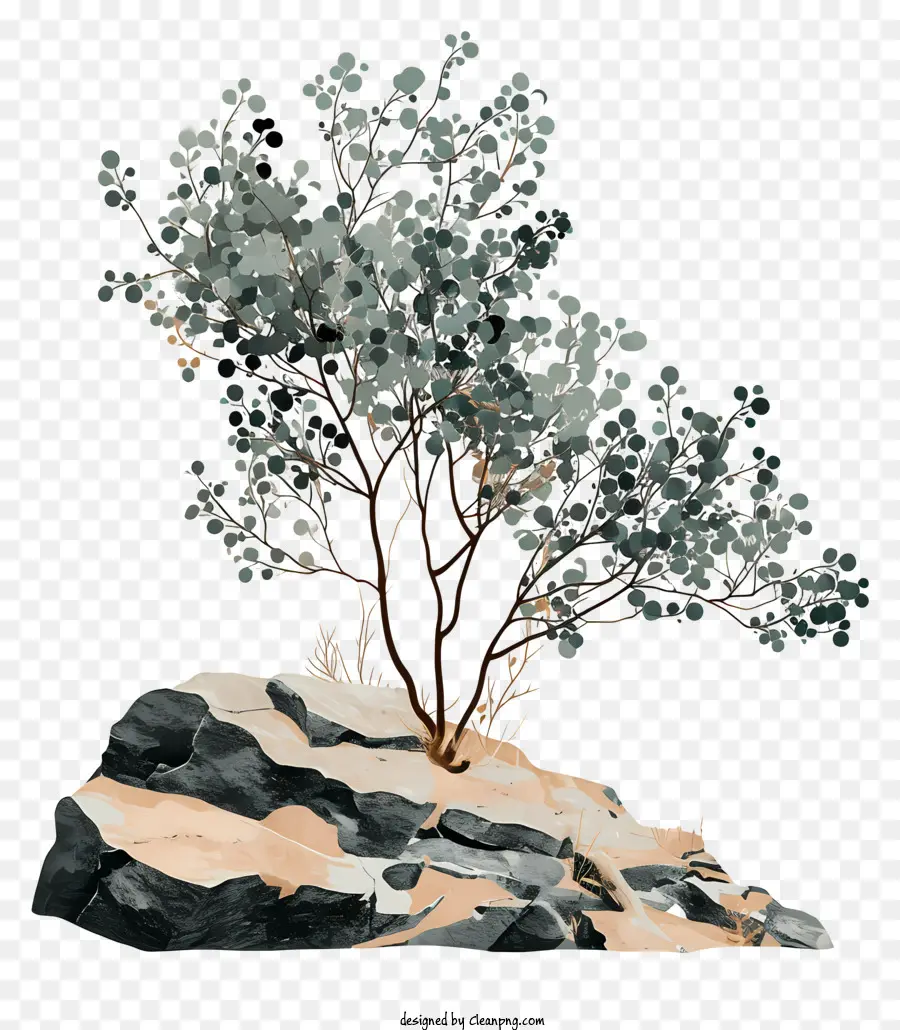 Kaya Üzerinde Ağaç，Doğa PNG