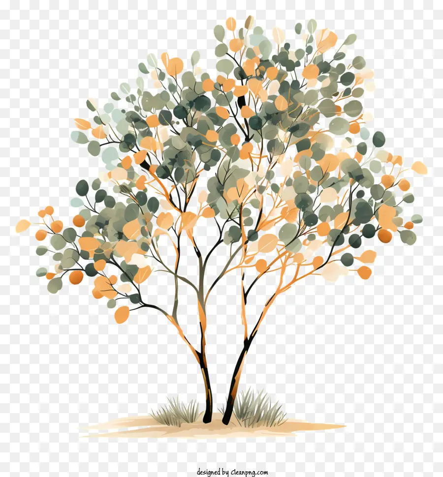 Ağaç，Yaprakları PNG