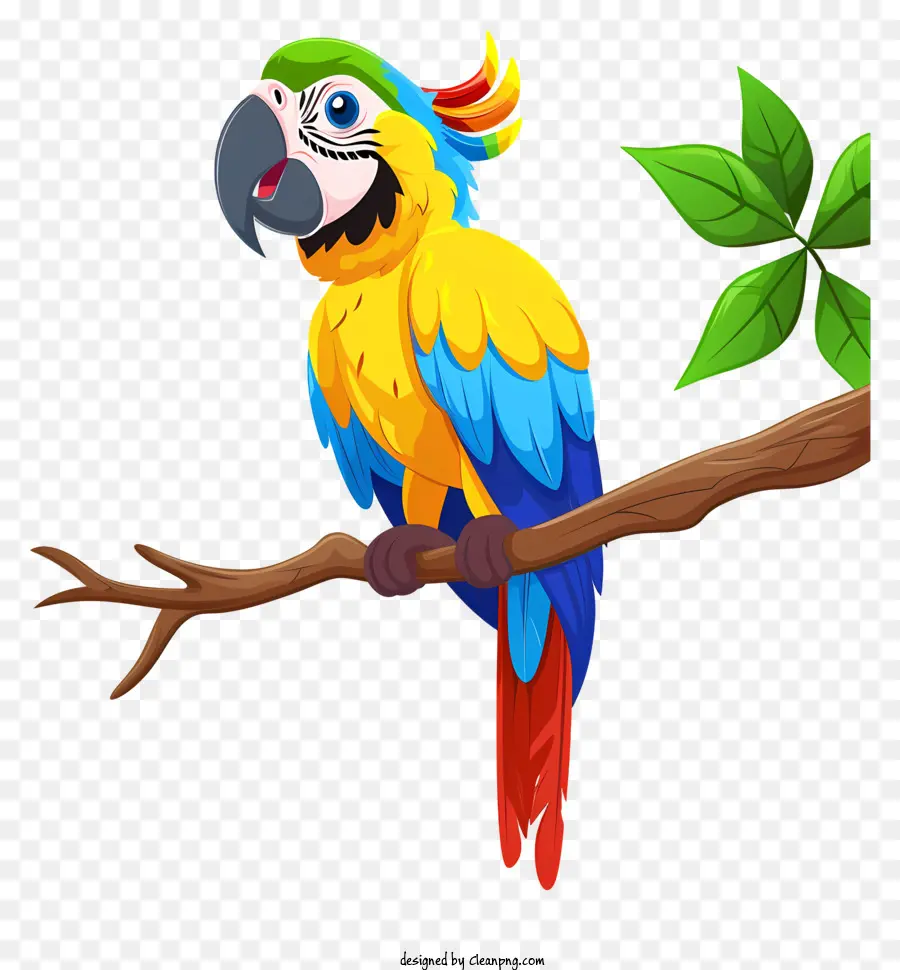 Papağan，Renkli Kuş PNG