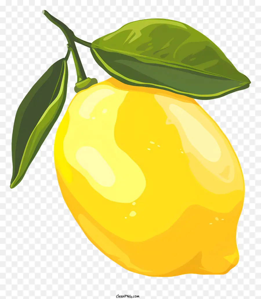 Limon，Yeşil Yaprakları PNG