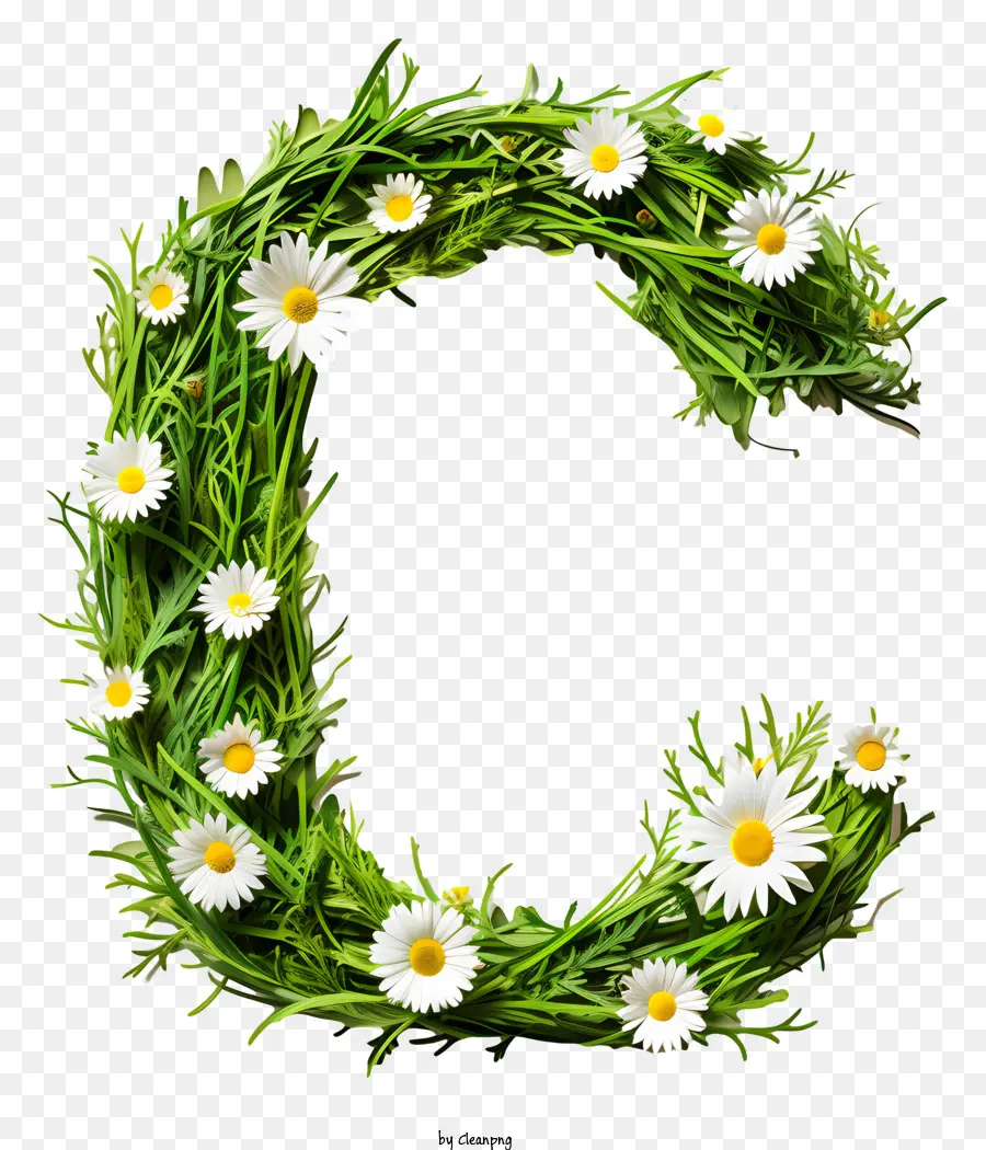 Çiçek Mektup C，Yeşil Ve Beyaz Desen PNG