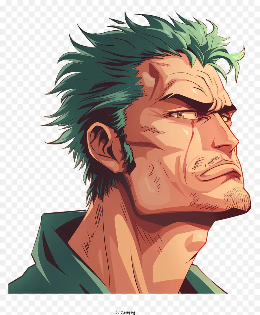 Tek Parça Roronoa Zoro，Anime Karakteri PNG