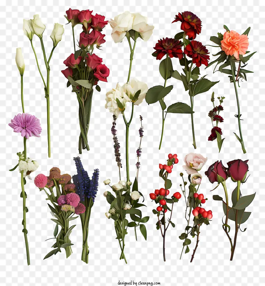 Taze çiçekler，Çiçek Tipleri PNG