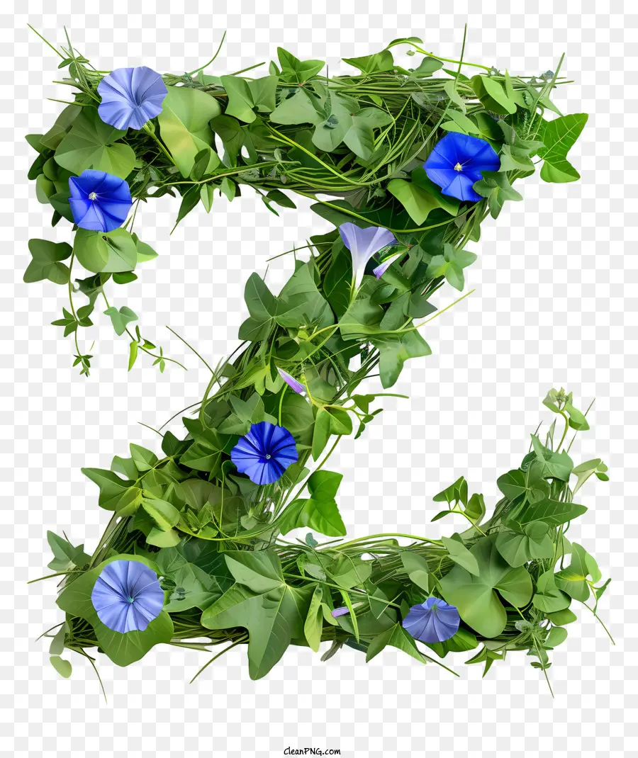 Çiçek Mektubu Z，Yaprakları PNG