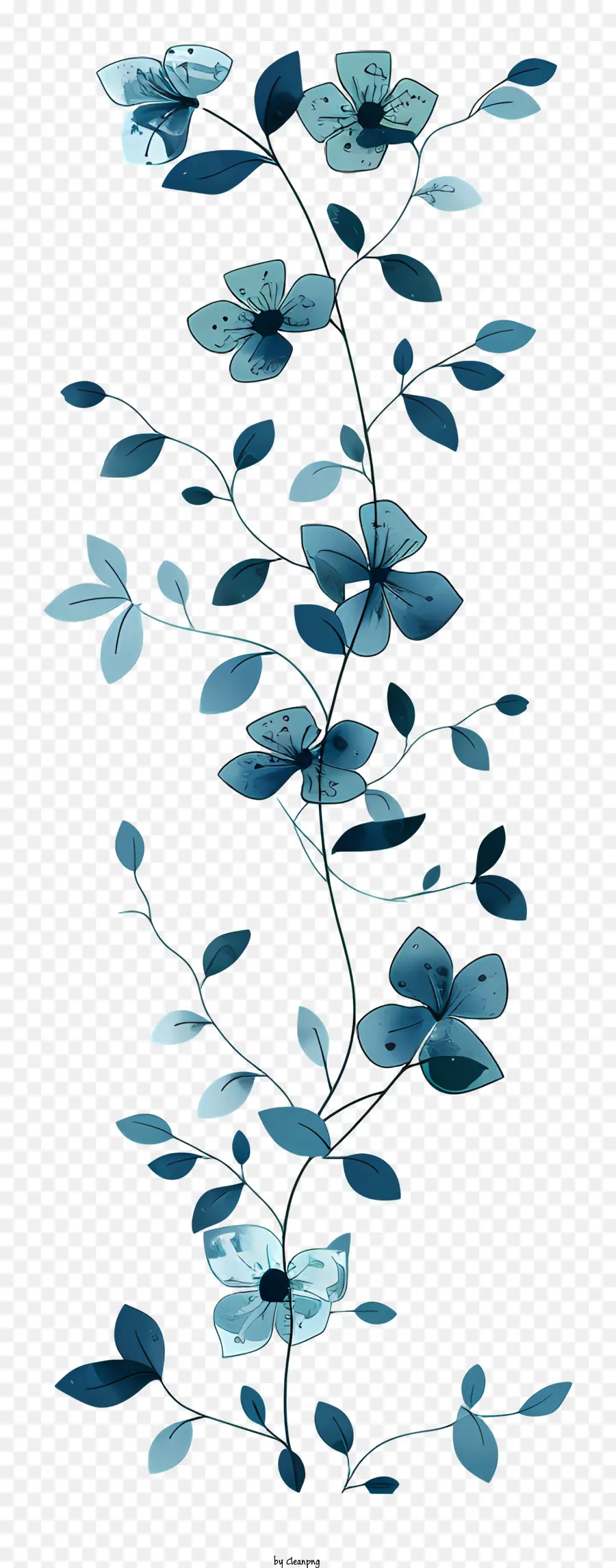 Mavi çiçek Asma，Asma PNG