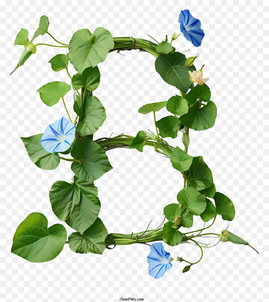 Çiçek Mektup B，Yeşil Bitkiler PNG