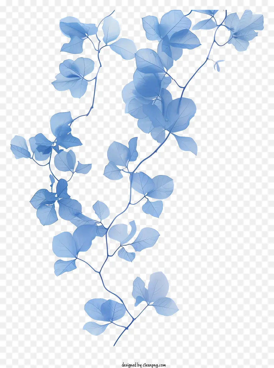 Mavi çiçek Asma，çiçek PNG