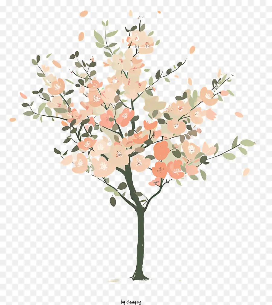 Bahar Ağacı，Kiraz çiçeği PNG