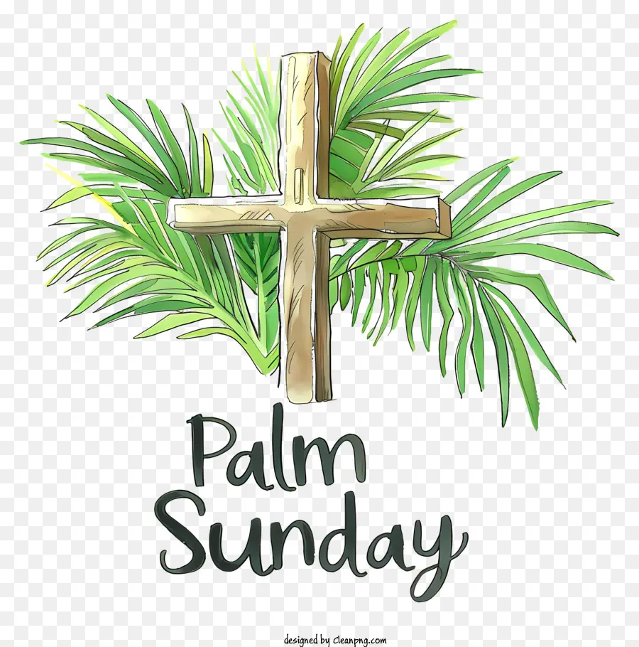 Palm Pazar，Hıristiyan Tatil PNG