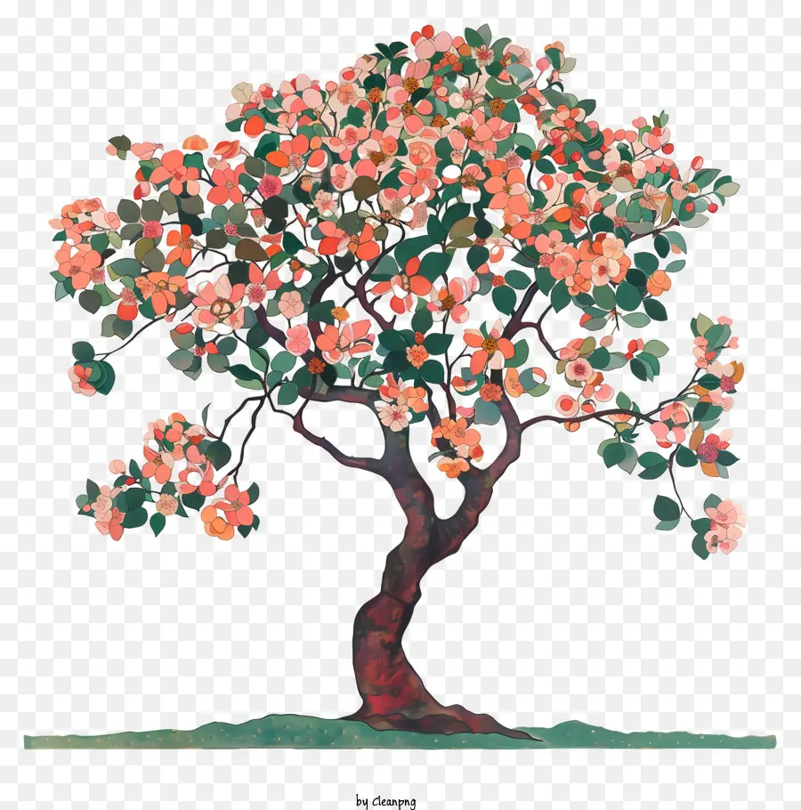 Bahar Ağacı，Elma Ağacı PNG