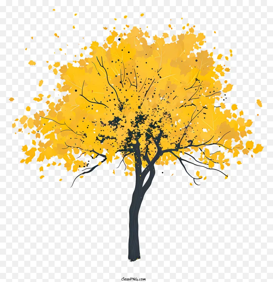 Sarı Akçaağaç Ağaç，Ağaç PNG