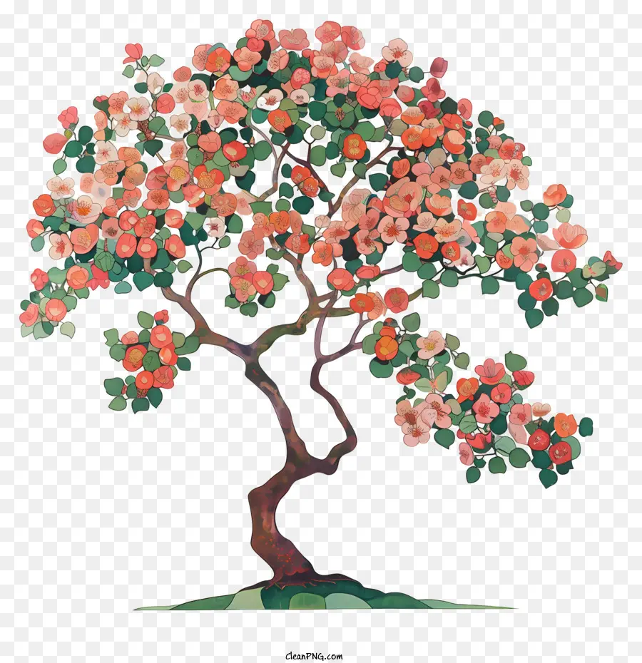 Bahar Ağacı，Ağaç PNG