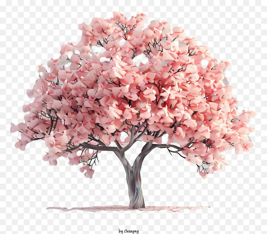 Bahar Ağacı，Pembe çiçekler PNG
