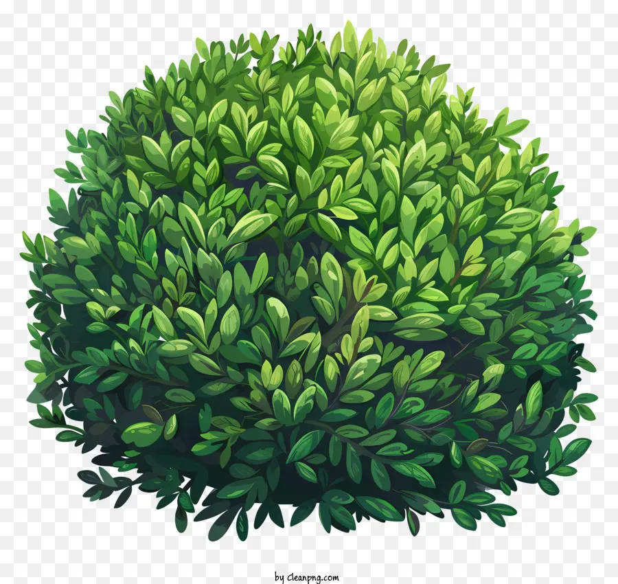 çalı，Yeşil Bush PNG