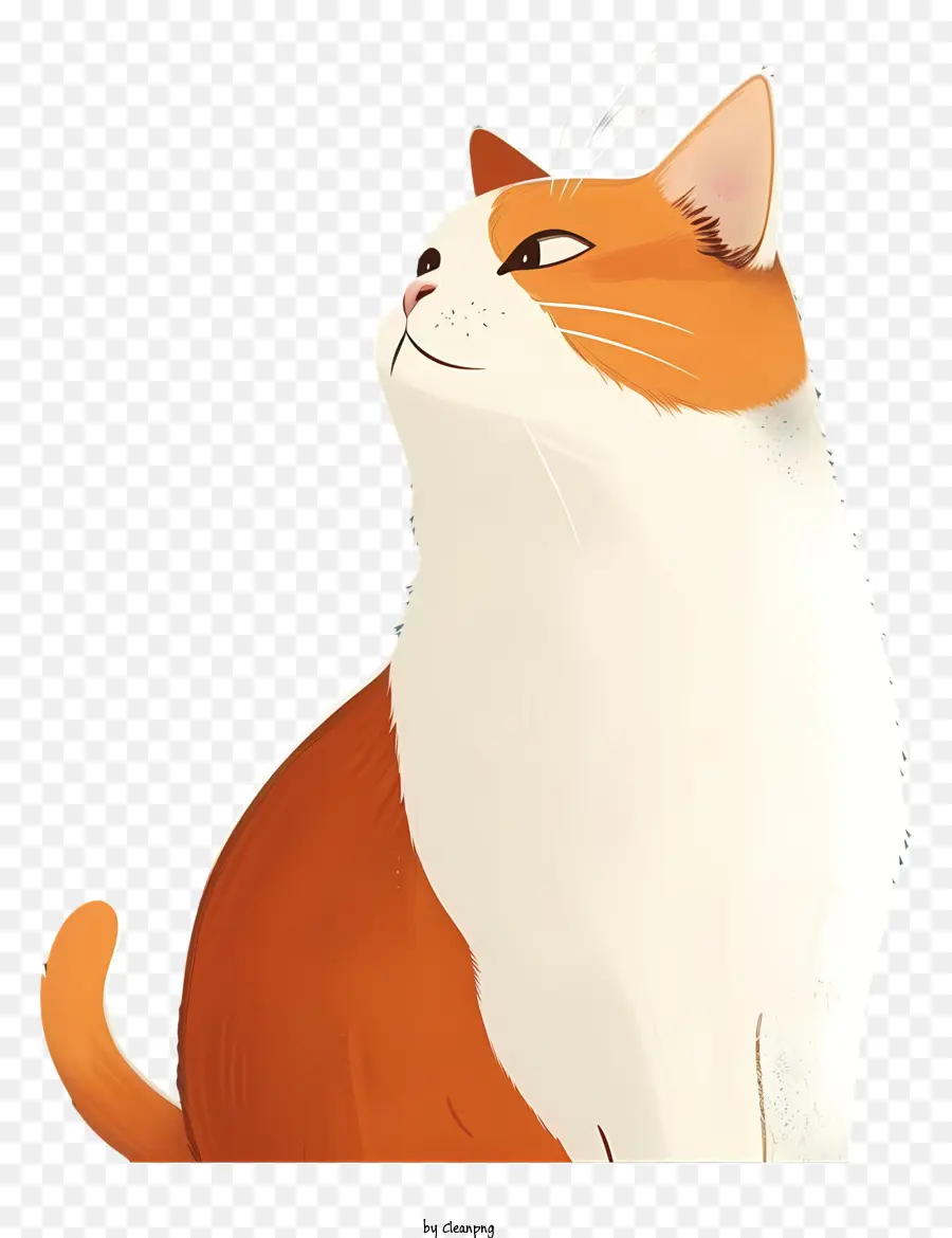 Sevimli Kedi，Kedi PNG