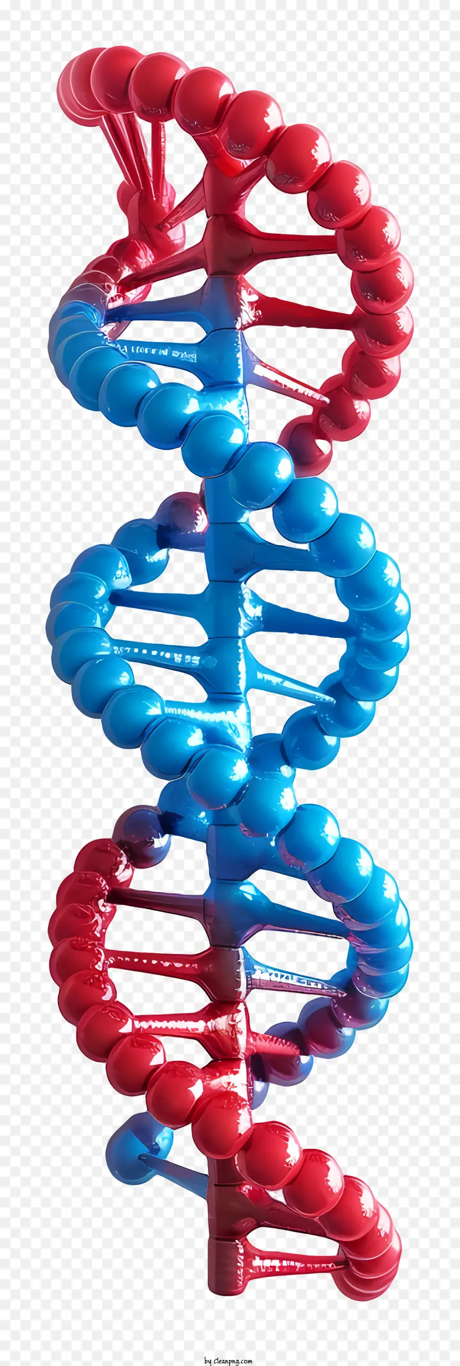 Kırmızı Ve Mavi Dna，Dna İpliği PNG