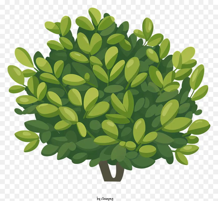 Çalı，Yeşil Ağaç PNG