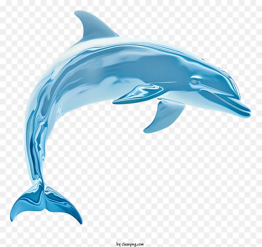 Dolphin Günü，Mavi Yunus PNG