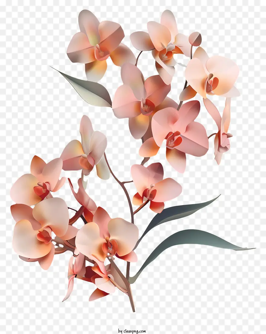 Orkide Günü，3d Illüstrasyon PNG