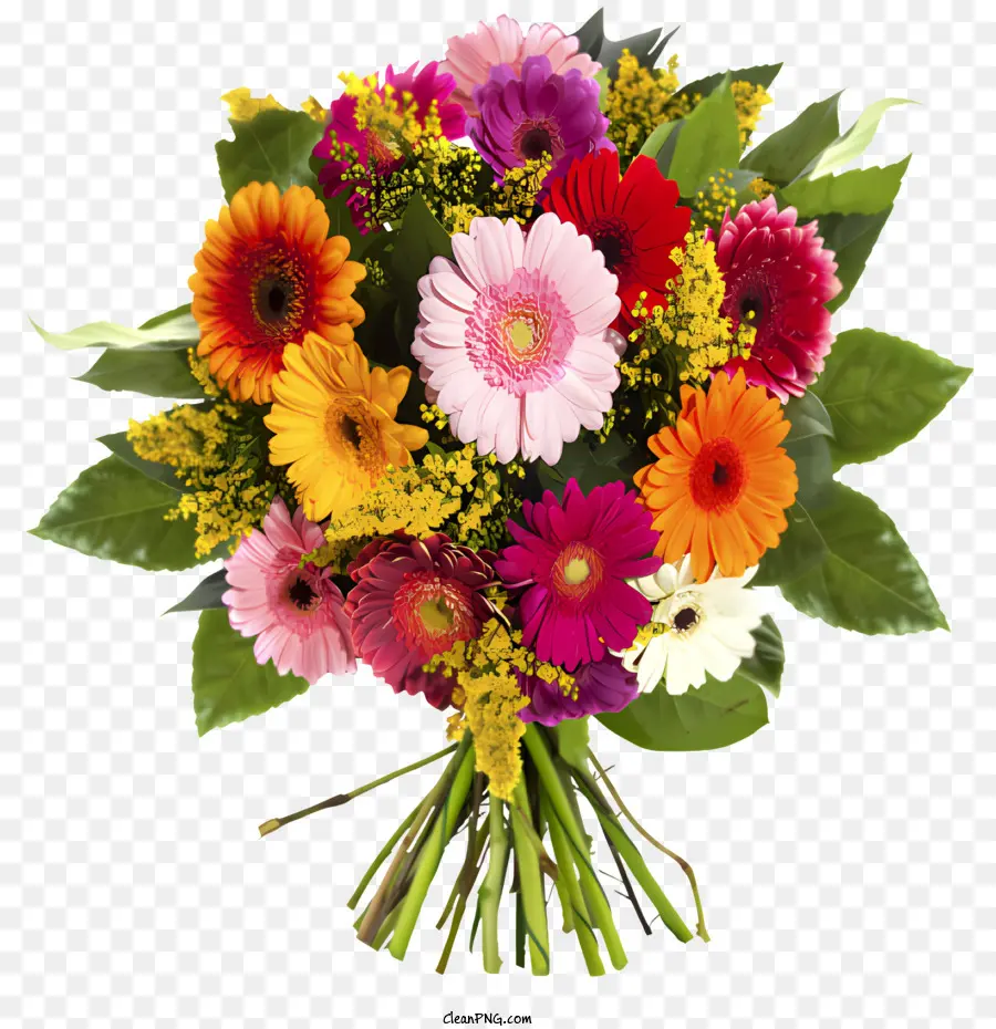 Blumen，Renkli çiçekler PNG