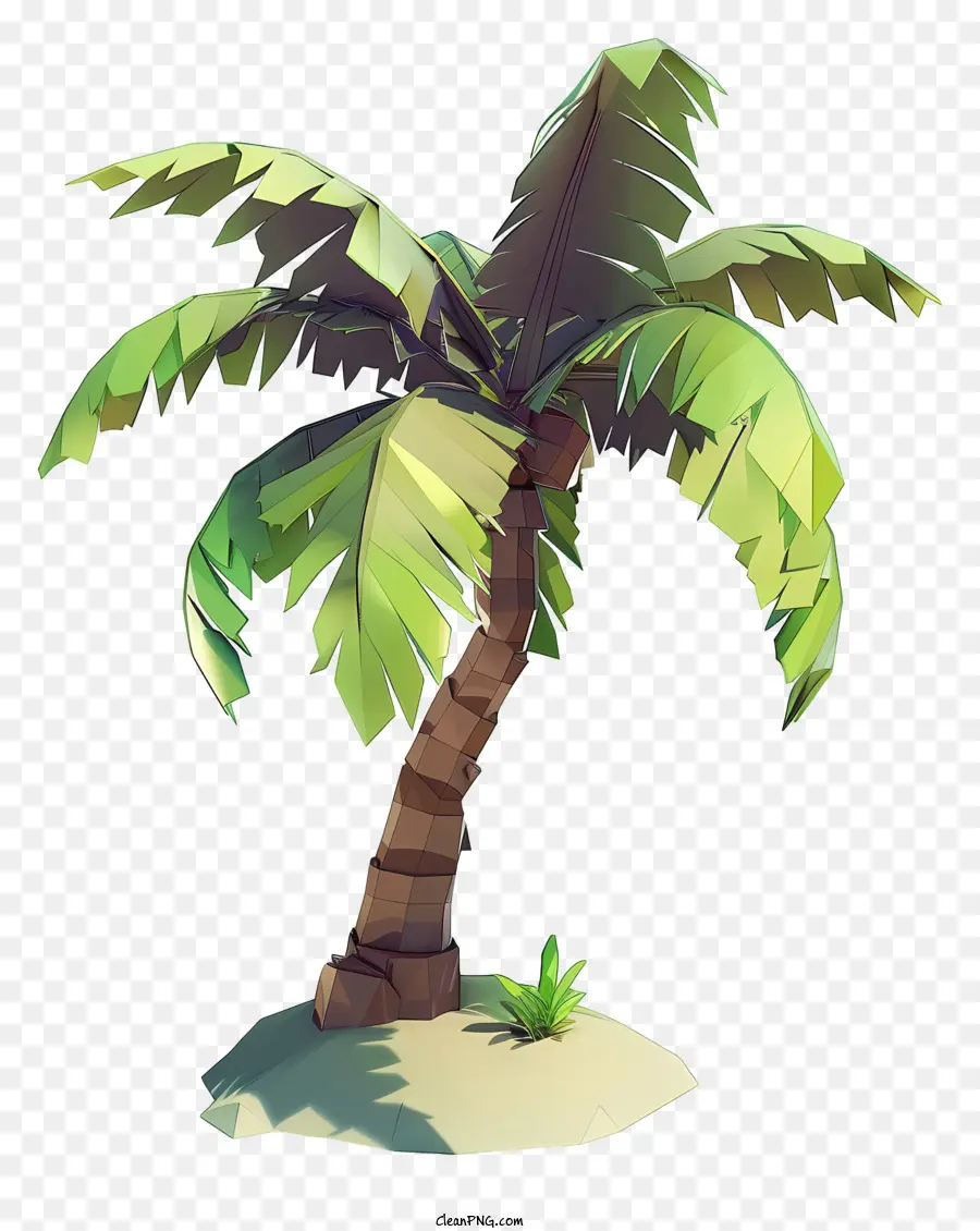 3d Hindistancevizi Ağacı，Palmiye Ağacı PNG