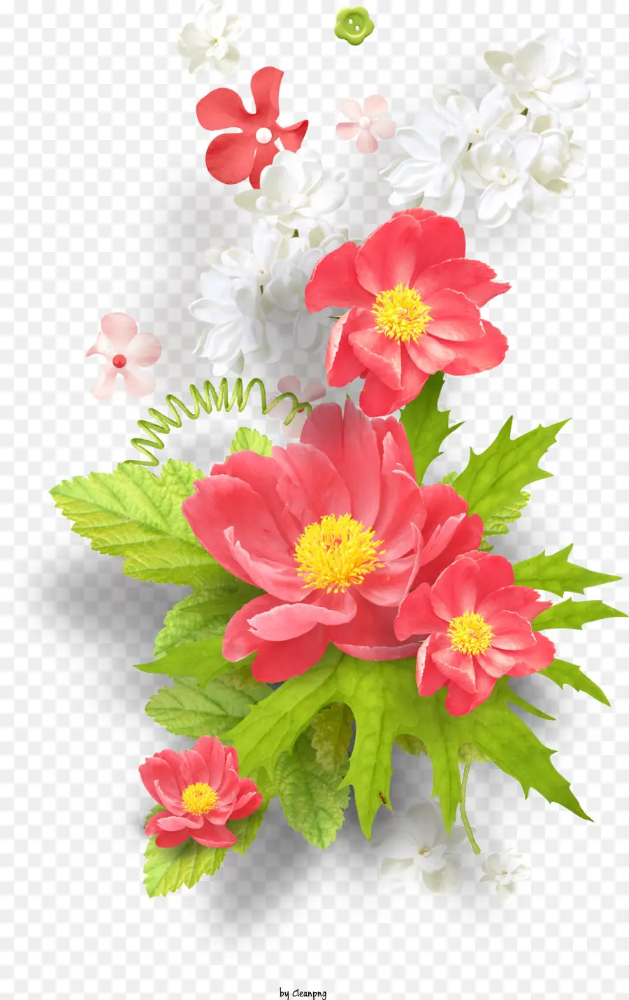 Çiçek，çiçek PNG