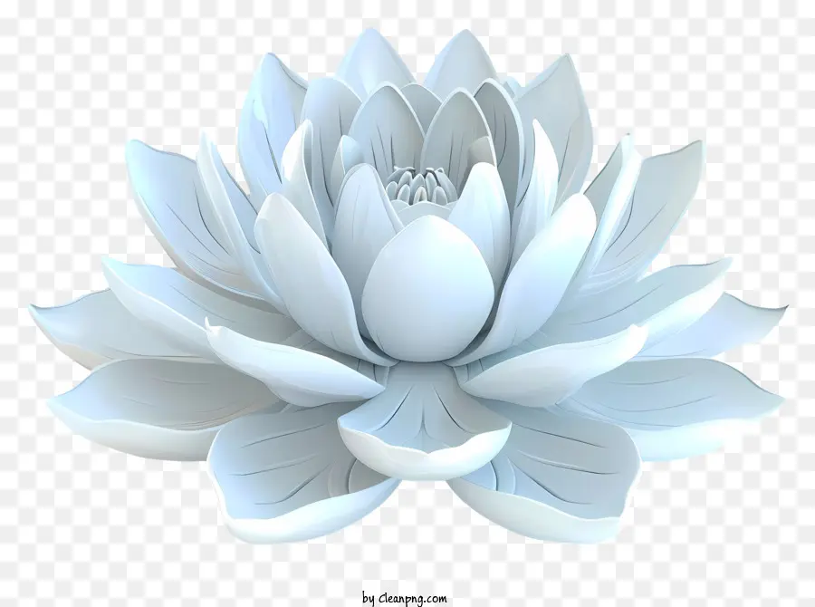 Beyaz Lotus，Beyaz Lotus çiçeği PNG