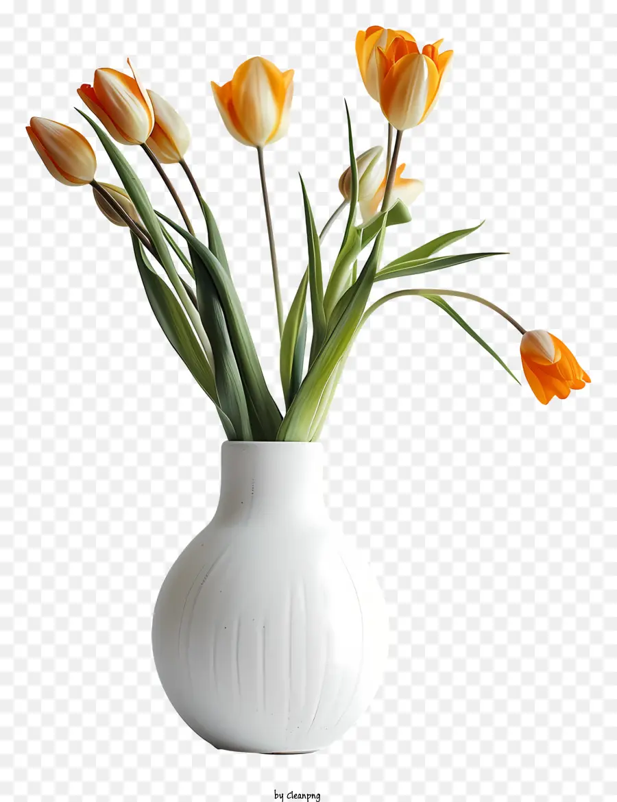 Çiçek，Beyaz Vazo PNG