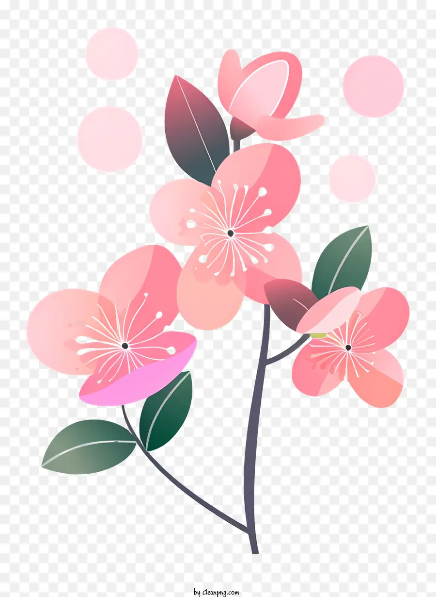 Bahar，Kiraz çiçeği PNG