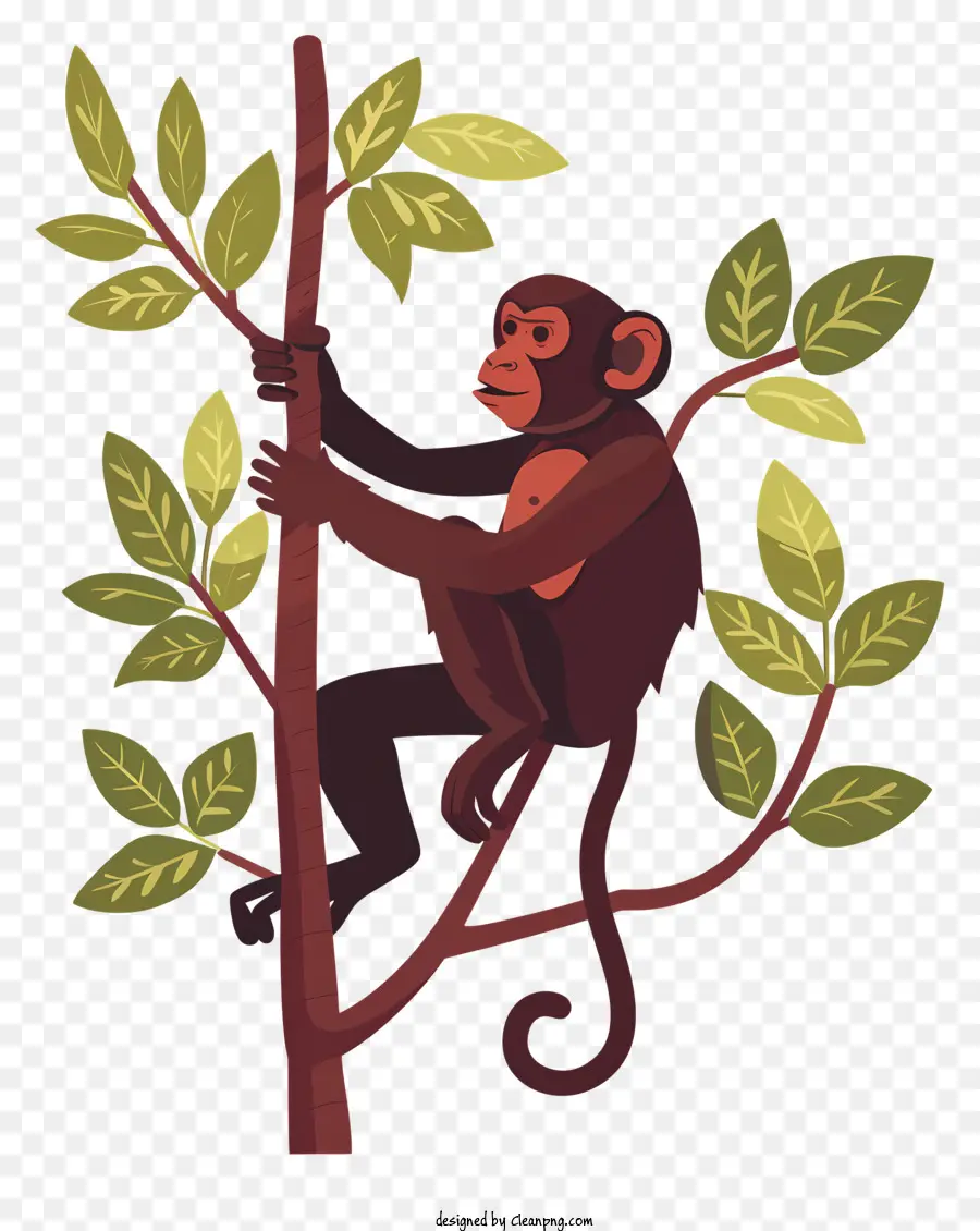 Karikatür Maymun，Maymun PNG