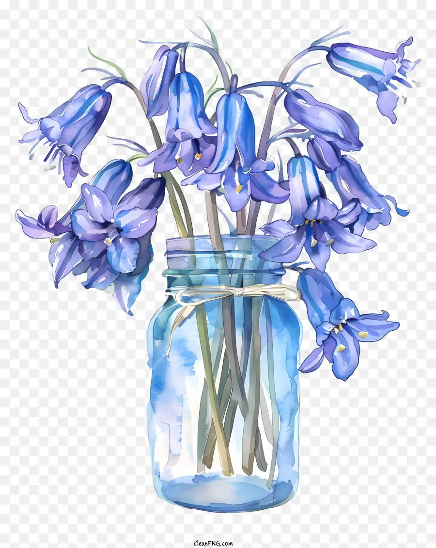 Bluebell çiçeği，Bahar çiçeği PNG