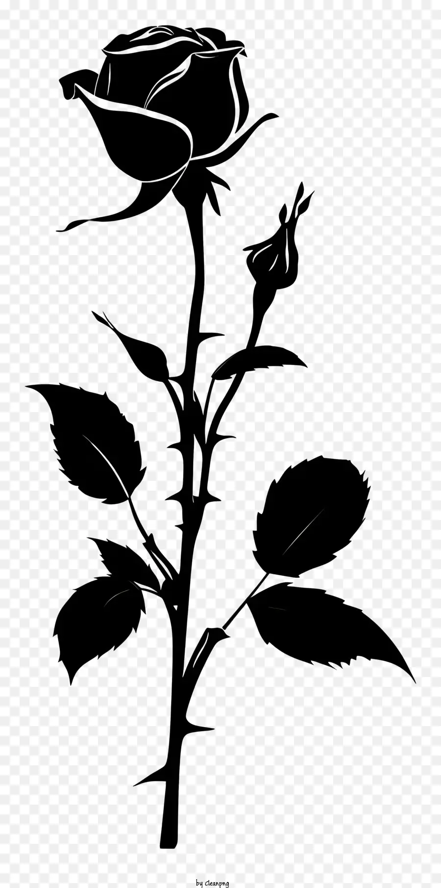 çiçek Siluet，Siyah Gül PNG
