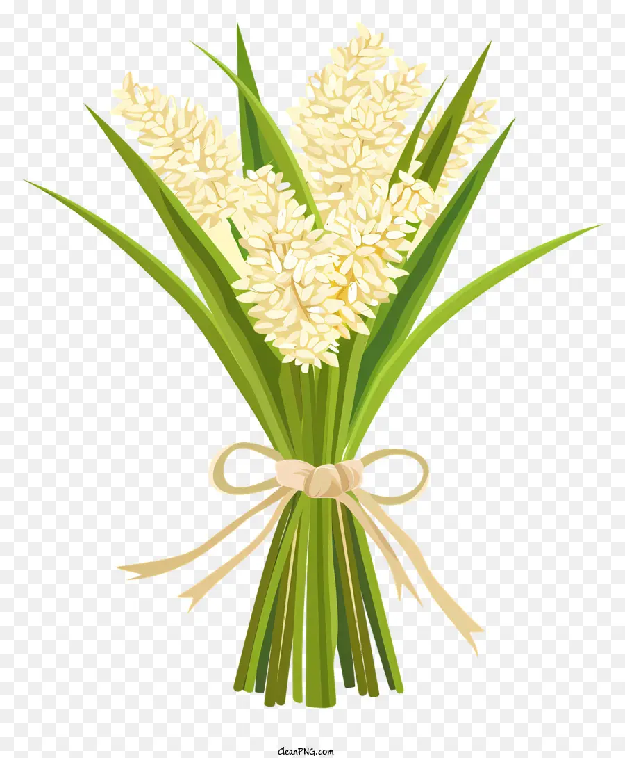 Pirinç Demeti，Beyaz çiçekler PNG