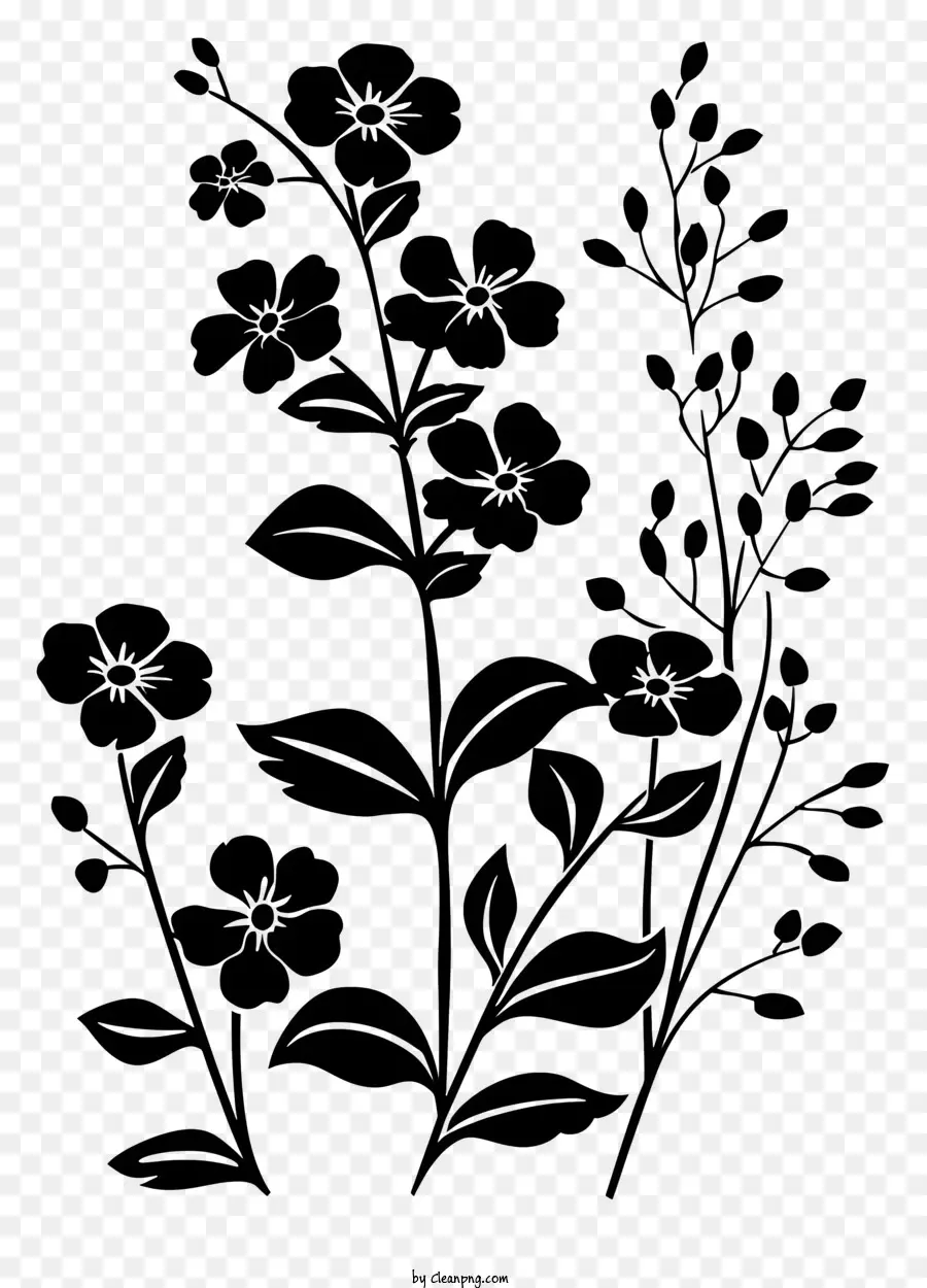 çiçek Siluet，Siyah Arka Plan PNG
