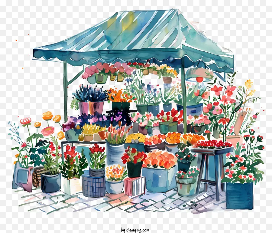 Bahar Pazarı，çiçekçi Dükkanı PNG