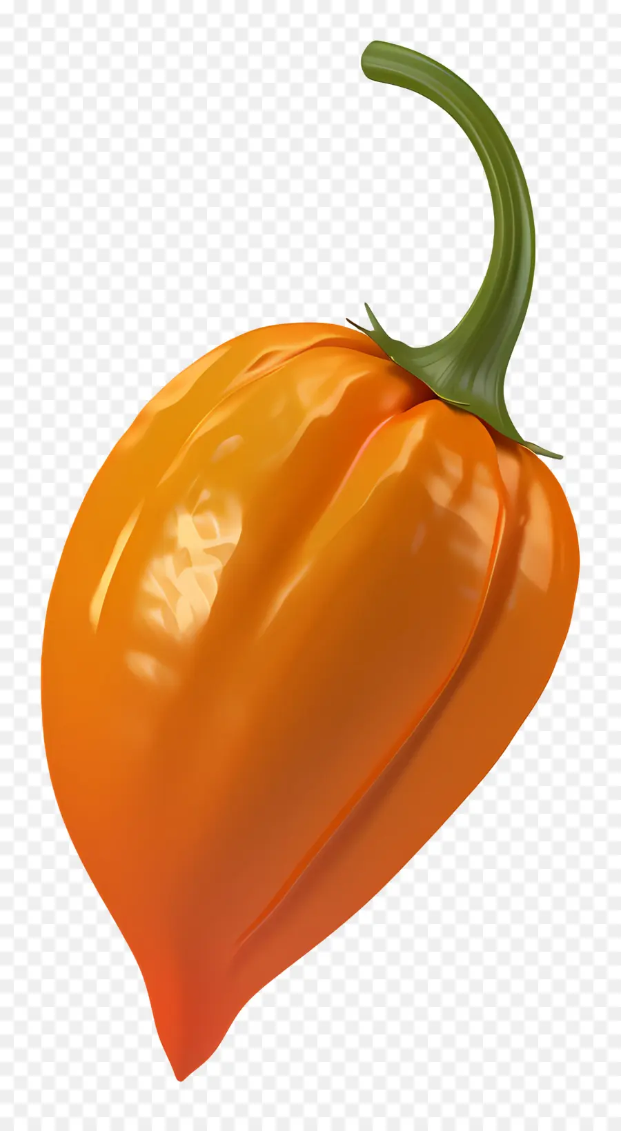 Habanero Biberi，Turuncu Biber PNG