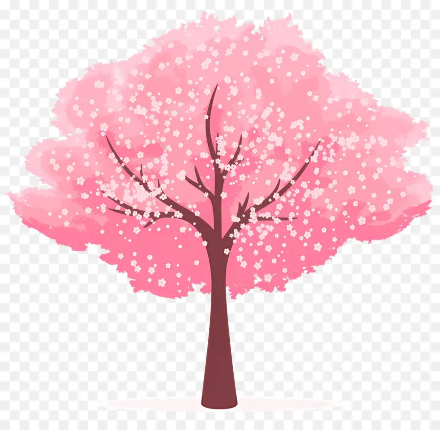 Ağaç，Sakura Ağacı PNG